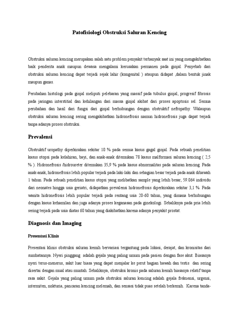 Patofisiologi Batu Saluran Kencing