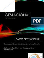 saco gestacional