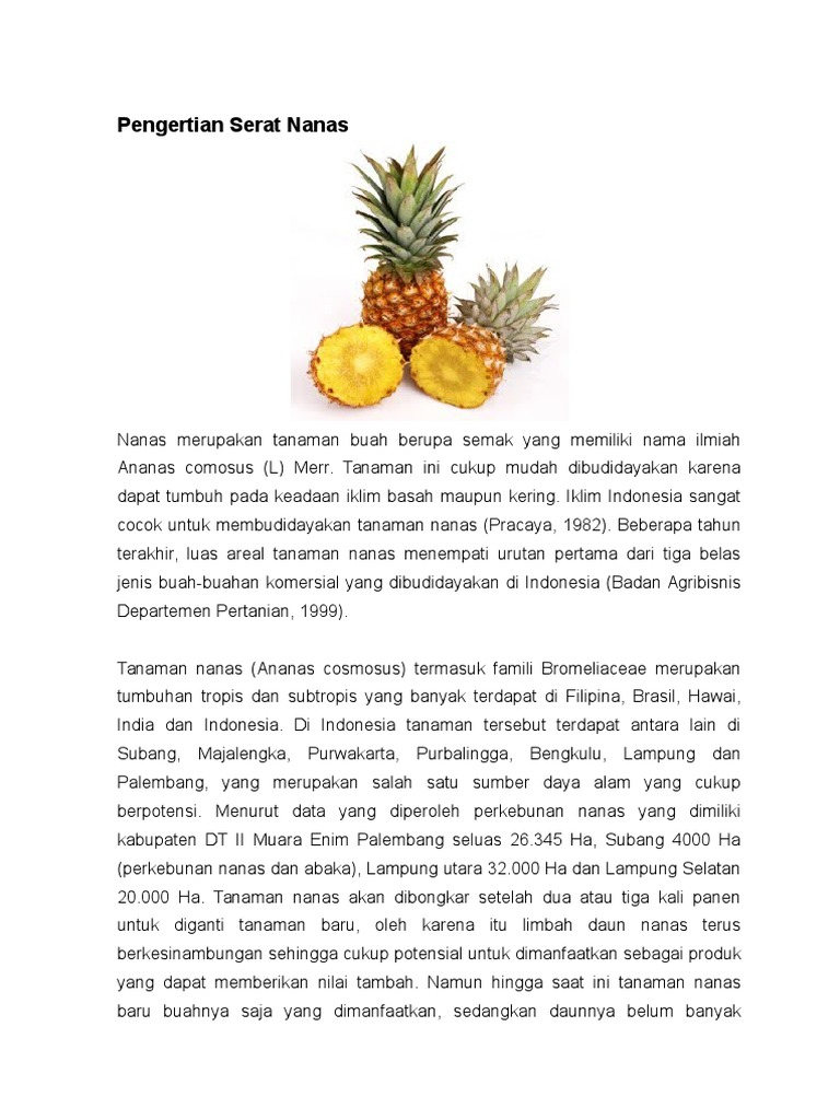 Pengertian dan Manfaat Serat Nanas makalah.docx