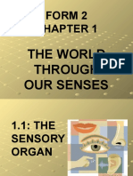 Form 2: The World Through Our Senses