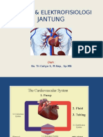 Anatomi Dan Elektrofisiologi Jantung