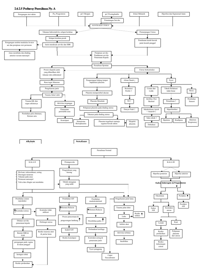 Pathway Inc Ny. A | PDF