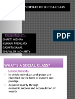 Life Style Profiles of Social Class: Presented By
