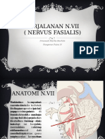 Nervus VII