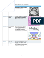 Histo Disease NBS Final