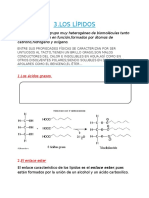 lipidos