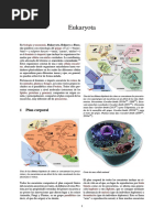 Eukaryota