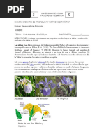 Cuestiones Estádistica