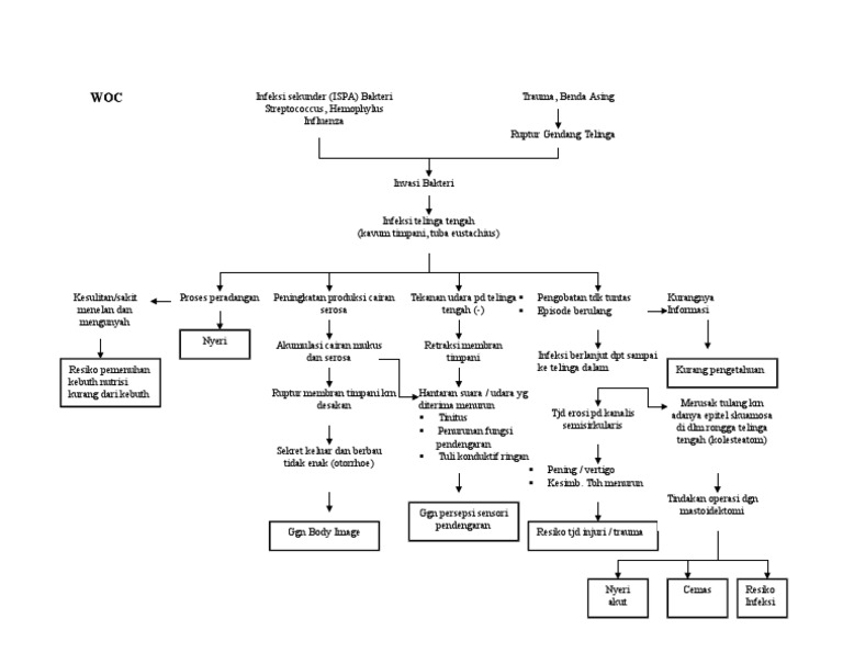 Woc Oma | PDF