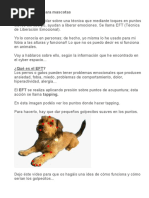 Tapping o EFT Para Mascotas