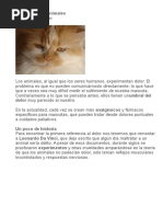 El Dolor en Los Animales