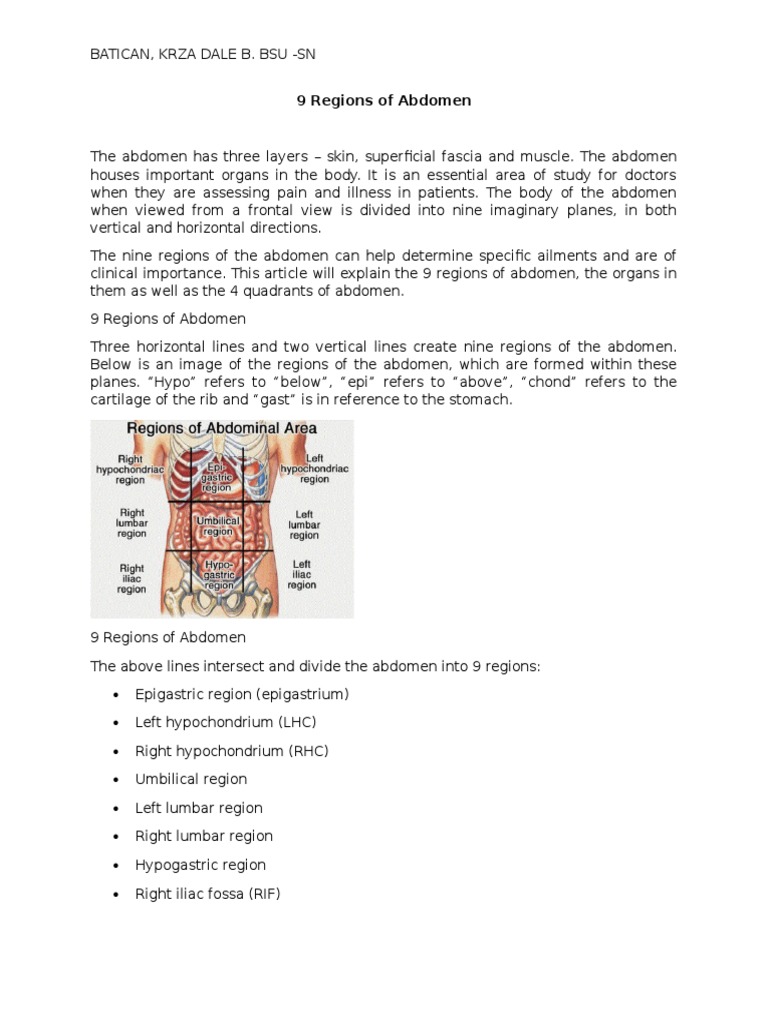 9 Regions Of The Abdomen