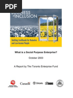 Social Purpose Enterprise