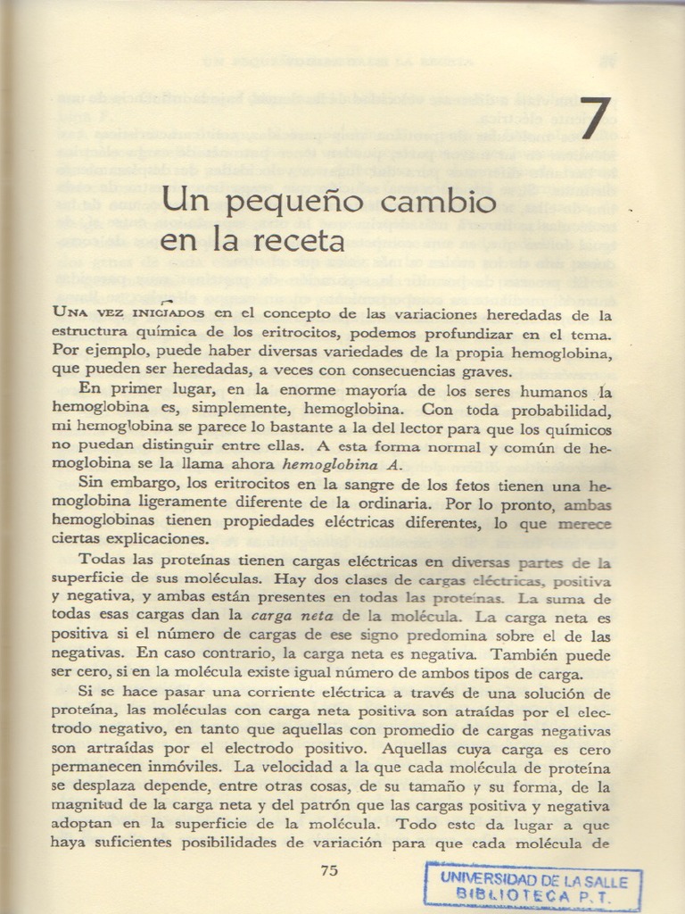 Rio Viviente Cap 7 | PDF