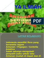 Antanan Sebagai Obat Luka FK UJ