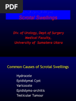 Scrotal Swelling