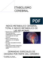 Metabolismo Cerebral