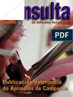 consulta_206_sumario