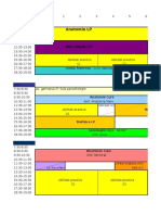 Anul 1 Excel 2003