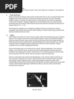 Klasifikasi Coelenterata