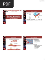 Histologia Humana - Tecido Muscular