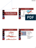 Histologia Humana - Tecido Muscular