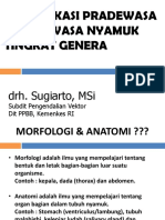 Identifikasi Nyamuk Tingkat Genera - Des 2015 PDF