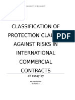 Nicu Soltoianu Classification of Protection Clauses
