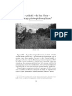 Le Pédofil de Boa Vista - Montage Photo-Philosophique