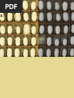 Adriana Amaral - Dias e Noites