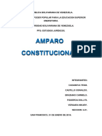 Informe de Amparo Constitucional