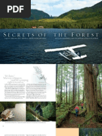 Download Canadas Princess Royal Island - ISLANDS magazine by Islands Magazine SN29913098 doc pdf