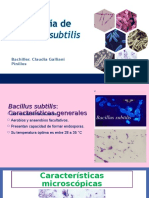 EXPO DE Bacillus Subtilis