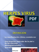 Slides Herpes Genital