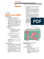 HIstology Lec - 13 GI Accessory Glands