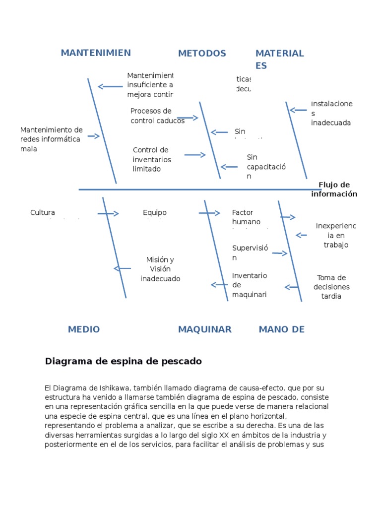 Diagrama de Pescado Tecnología Cognición Prueba