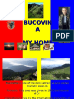 Bucovinamy Home