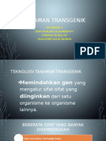 Tanaman Transgenik