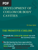 Coelom and Body Cavities