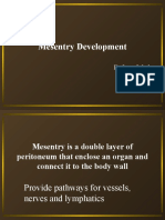 Development of Mesentry