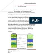 Artikel Biostratigrafihikgf