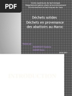 Déchets en Provenance Des Abattoirs Au Maroc