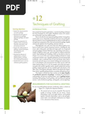 Techniques Of Grafting Grafting Landscape