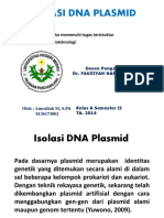 Isolasi DNA Plasmid (Bioteknologi)