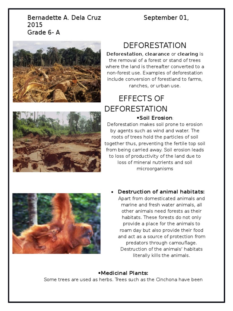 Deforestation | Deforestation | Agriculture
