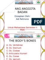 Anatomi Tulang Anggota Badan