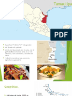 Tamaulipas introducción