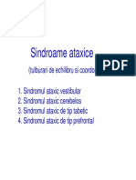 Semiologia Text Ataxii 2015