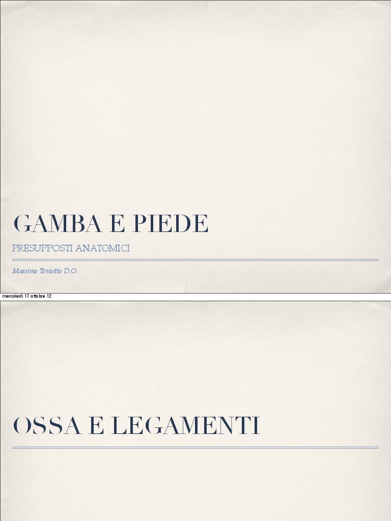 Anatomia Gamba e Piede | PDF