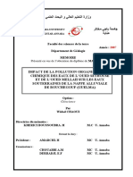 Impact de La Pollution Organique Et Chimique Des Eaux de L'oued Seybouse Et de L'oued Mellah Sur Les Eaux Souterraines de La Nappe Alluviale de Bouchegouf (Guelma)